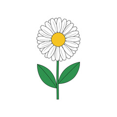 Simple daisy flower illustration with green stem and leaves on white background.