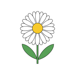 Simple Daisy Flower Illustration with Green Stem and Leaves.