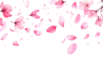 Pink cherry blossoms and petals cascade downwards against a stark black background, creating a delicate, ethereal scene