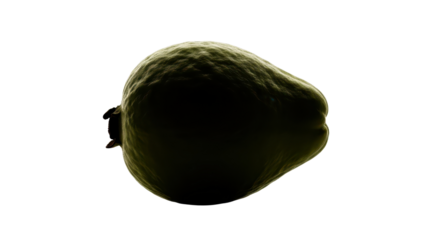 Dark and Moody Silhouetted Guava Fruit Product Shot with Dramatic Rim Lighting isolated PNG with Transparent Background