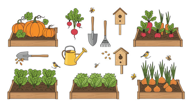 Set of charming garden illustrations with vegetables growing in raised beds, gardening tools, a birdhouse, and birds and bees.