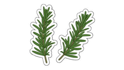 Obraz premium Two Sprigs of Green Rosemary Herb on a Black Background with White Outline and Shadow