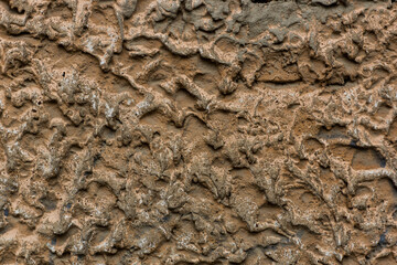 Wall, texture, cement, concrete, cracks, dirt, gravel, texture of the sand