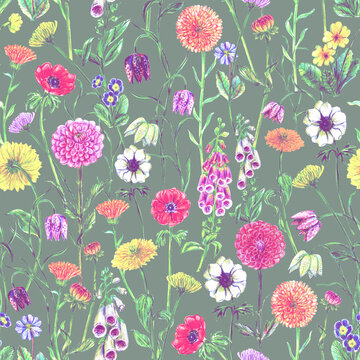 Hand drawn garden flowers seamless pattern. Primrose, foxglove, anemone, daisy, dahlia, fritillaria, marigold floral drawings. Nature pencil sketches. Summer background.