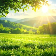 Lush green meadow at sunset, sunbeams through leaves