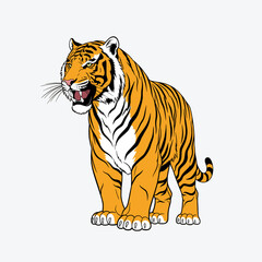 Naklejka premium Tiger Illustration Vector