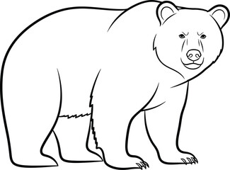 Simple line drawing of a standing brown bear facing forward