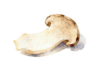 Fototapeta premium Exquisite Mushroom: A singular mushroom, rendered in a delicate watercolor, showcases its elegant form and earthy tones. It conveys a sense of culinary artistry and natural elegance.