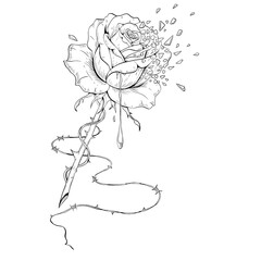 Fragmented Rose Line Art - Minimal Floral Illustration