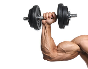 Strong male arm holding a dumbbell for fitness concepts, isolated on a transparent background, PNG 