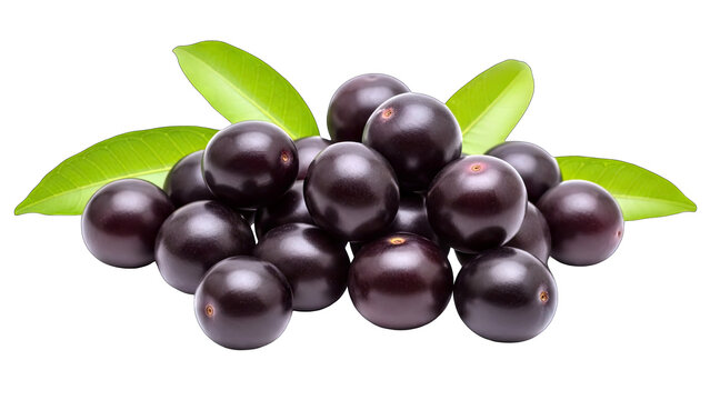 Jabuticaba Fruits with Leaves Isolated on White