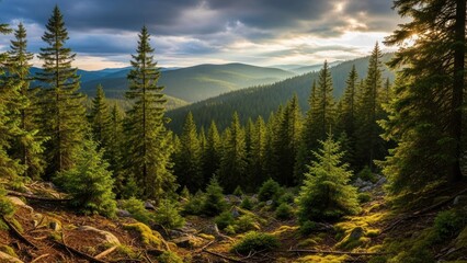 A serene mountain landscape with tall evergreen trees and a cloudy sky.