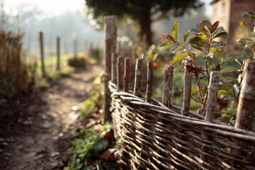 A woven twig fence borders a small eco-garden next to a countryside cottage. The sun shines softly on plants and dirt paths in the early morning light