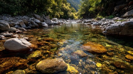 Fototapeta premium Tranquil Stream Beneath Lush Greenery Surrounded by Smooth Stones in a Peaceful Nature Landscape Ideal for Relaxation and Outdoor Activities