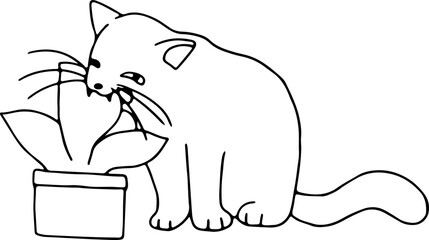 A cute funny cat sits with its eyes narrowed and gnaws on the leaves of a houseplant, drawn with crooked grunge lines