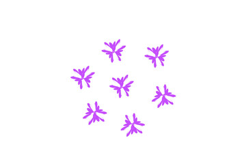 set of flowers vector