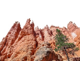 Red rock cliff with green pine tree isolated as transparent png. Bryce Canyon, Utah, USA