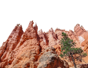 Red rock cliff with green pine tree isolated as transparent png. Bryce Canyon, Utah, USA