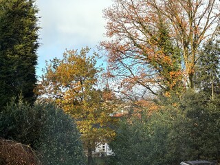 Church in the distance