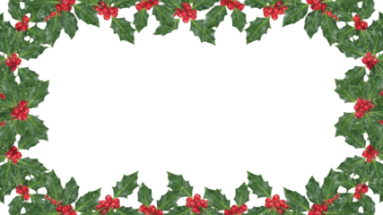 Festive Christmas Holly Leaf and Red Berry Frame Illustration on White