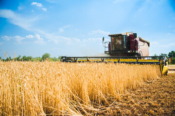 Combine harvesters in a field of wheat