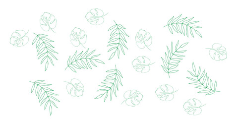 Delicate Botanical Pattern: Light Green Fern and Monstera Leaf Outlines.