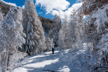 Berglanschaft Kremstal  bei Neuschnee in &Ouml;sterreich
