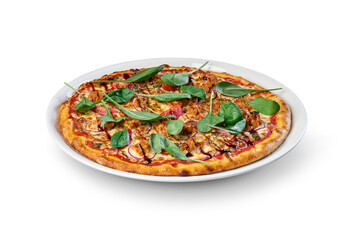 Freshly baked gourmet pizza on a plate with transparent background