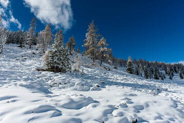 Kremstal  bei Neuschnee in &Ouml;sterreich