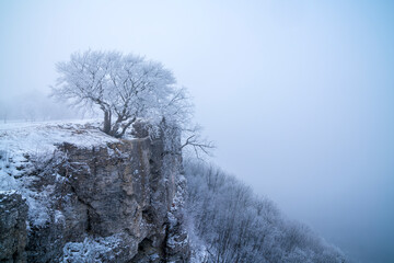 Germany, White snow covered rocks cliffs on breitenstein mountain swabian alb national park nature landscape with fog in winter early morning panorama view