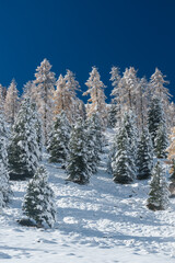 Kremstal  bei Neuschnee in Österreich