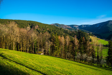 Germany, Beautiful black forest schwarzwald nature landscape panorama, green trees mountains hiking tourism destination in winter with a little snow on mountain tops