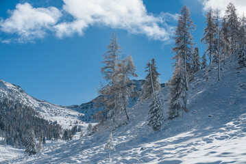 Kremstal  bei Neuschnee in Österreich
