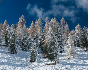 Kremstal  bei Neuschnee in &Ouml;sterreich