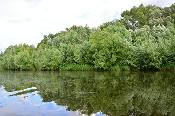 Fototapeta premium Lush Green Trees Reflected in Calm River Water with white sky