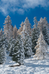 Kremstal  bei Neuschnee in &Ouml;sterreich