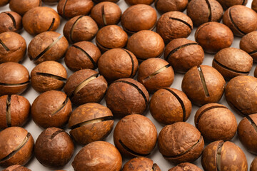Macadamia nuts in a shell isolated on a white background.