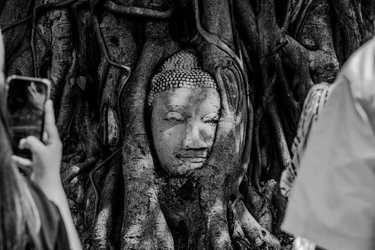 Ayutthaya Ruins, Thai Temple, UNESCO Heritage Park, Ancient Stupa Architecture