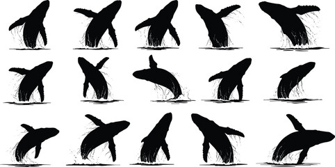 Whale breaching silhouette grid, humpback whale, dynamic motion, ocean leap, black figures, marine life, splash sequence, front back view, illustration © Khairun