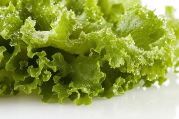 Close-up of fresh, peeled, and layered green lettuce with water droplets