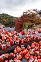 Crowd of red daruma dolls placed on temple roof in autumn season near mountains and colorful trees in Japan