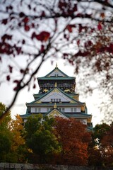 Majestic Osaka Castle Surrounded by Vibrant Autumn Foliage