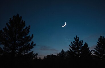 Crescent moon shines in night sky above trees. Dark silhouettes of forest contrast with starry sky. Peaceful scenery outdoor during evening time.