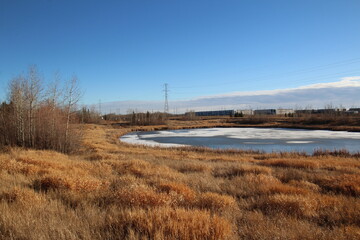 Autumn Day On The Lane