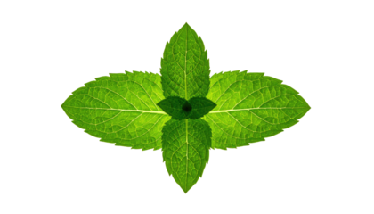 Bright green mint leaves arranged in a symmetric pattern against a solid black background; veins detail visible