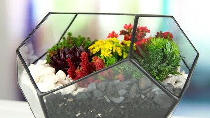 A geometric glass terrarium displays a vibrant arrangement of succulents and colorful flowers