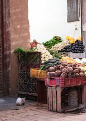 Médina de Marrakech, marché et chat, Maroc