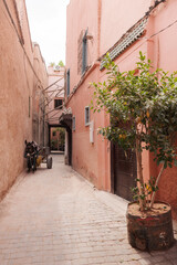 Médina de Marrakech, âne et sa charrette, ambiance de rue, Maroc