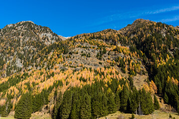 Wei&szlig;pirachbach Tal im Herbst in den Alpen in &Ouml;sterreich