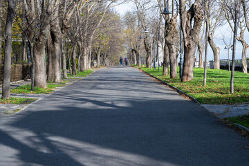 A tree-lined park path casts long shadows across the pavement as a few people walk in the distance.